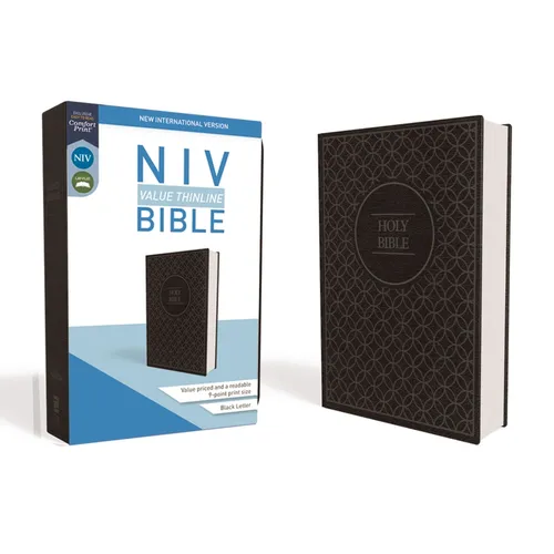 NIV Value Thinline Bible – Gray & Black